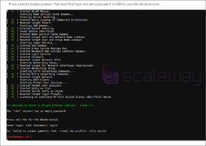 Screenshot of console showing root session